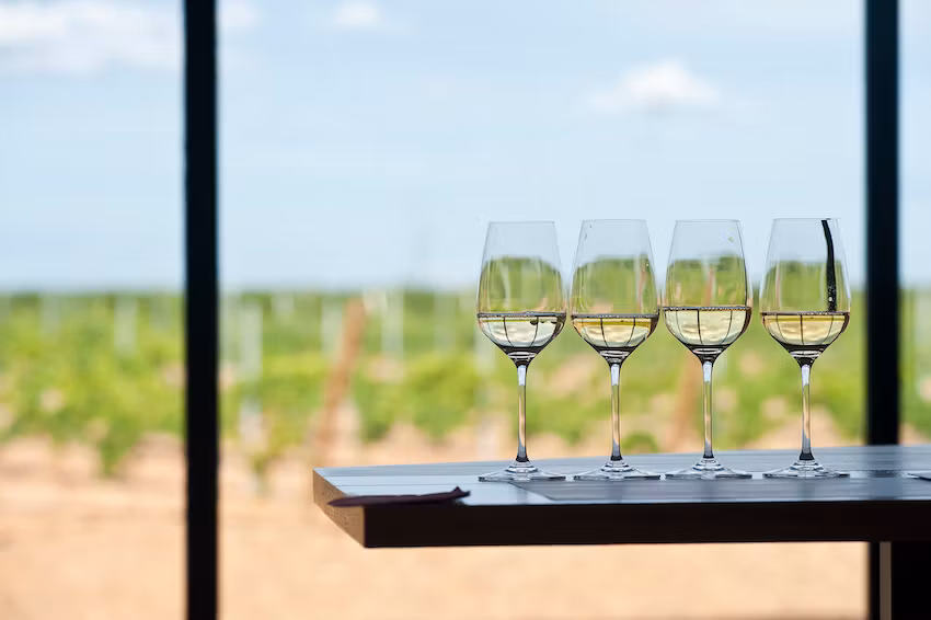 Cómo disfrutar de la Ruta del Vino de Rueda, tu guía más hedonista