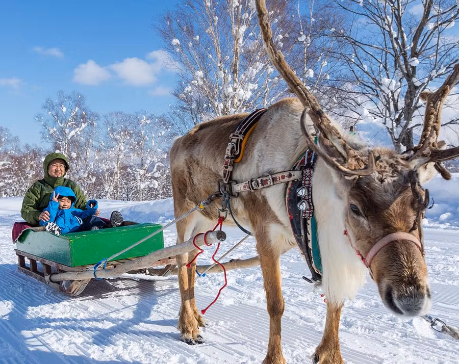 esquiar en Niseko, mejores estaciones esqui del mundo, viajes de esqui para mujeres