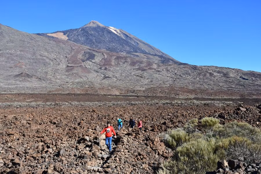 8 excursiones con niños desde el sur de Tenerife