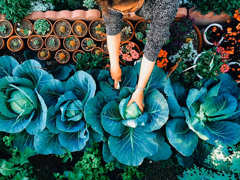 La experiencia sostenible marca el mundo de los viajes