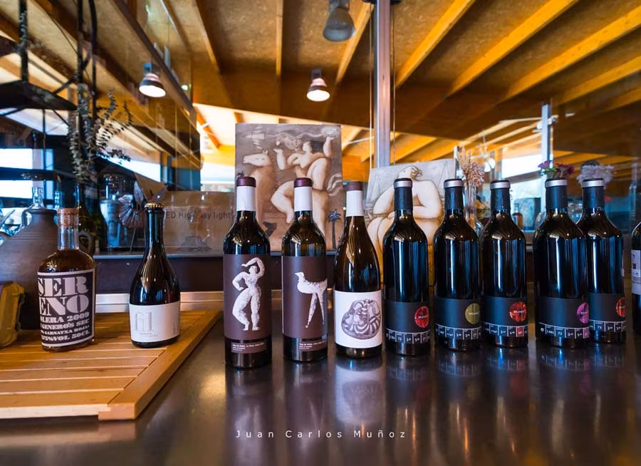 La Vinyeta ecologic vinos