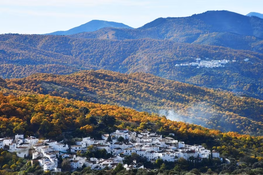 Semana de la Castaña en Jubrique, sabores y paseos otoñales