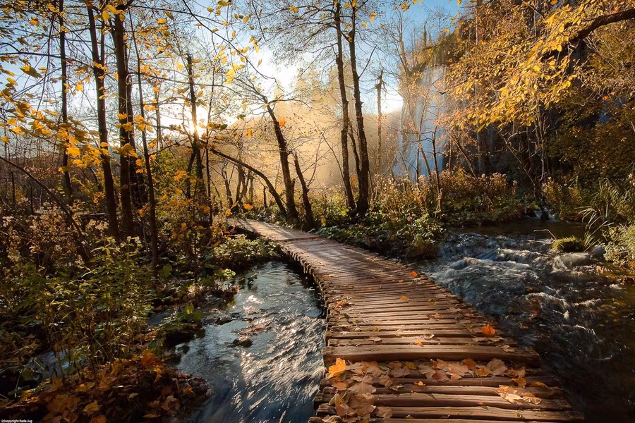 pasarela en el parque plitvice