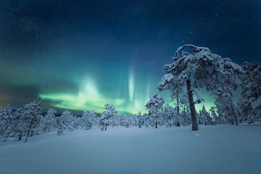 7 excursiones que no puedes perderte en la Laponia finlandesa