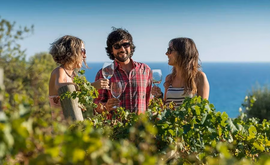 31 escapadas para descubrir este otoño los paisajes del vino