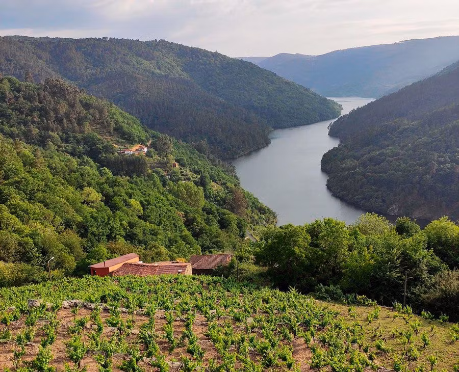 Planes divertidos en la Ribeira Sacra para descubrir sus secretos
