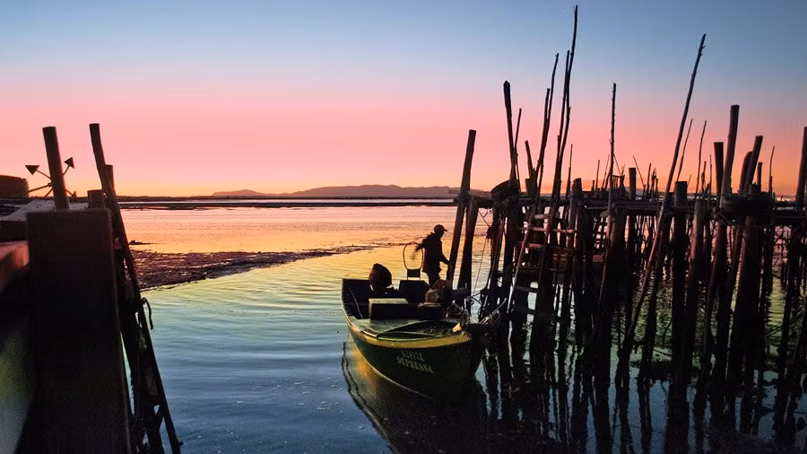 10 cosas que sólo puedes hacer en el Alentejo (y que no te esperas)
